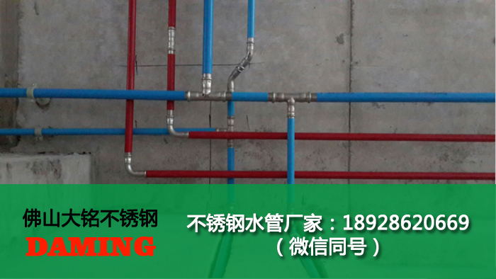 佛山91香蕉成人APP91久久香蕉国产熟女线看管业