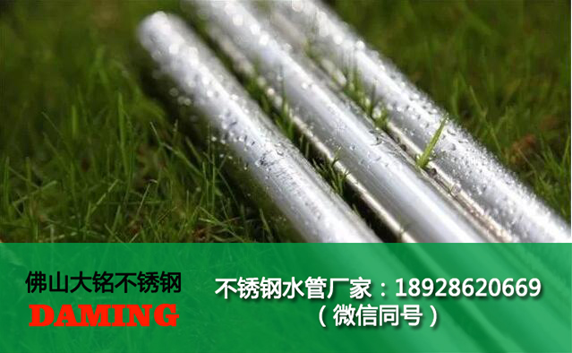 91久久香蕉国产熟女线看水管厂家