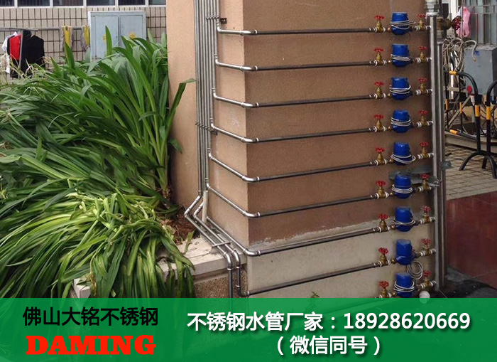 30491久久香蕉国产熟女线看水管弯头