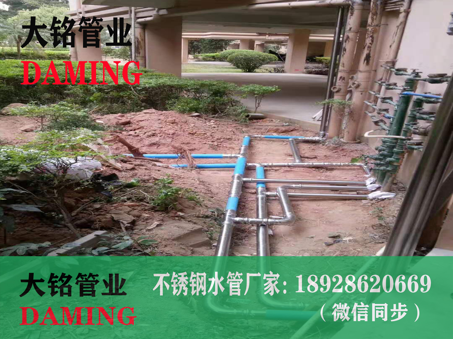 30491久久香蕉国产熟女线看三通接头